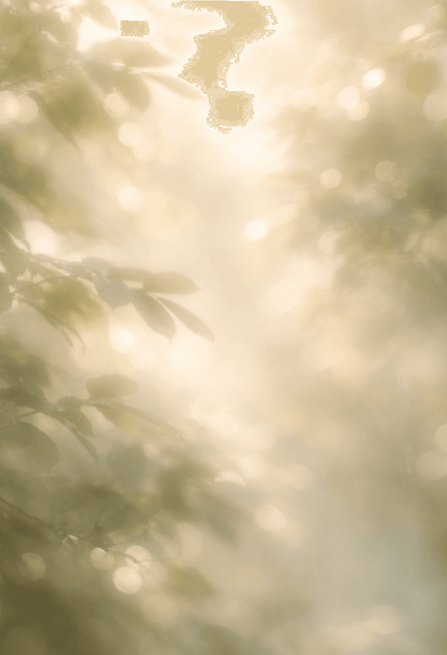 Portrait visual representing the messaging-native surface for Amby